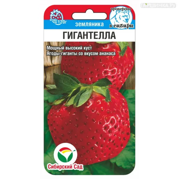 Земляника Гигантелла ц/п 10шт, Семена Сибирский Сад