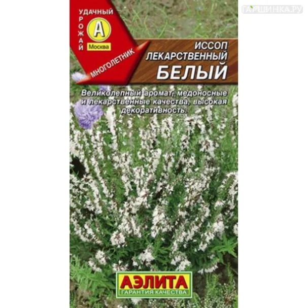 Иссоп Лекарственный белый ц/п 0,1 г. Семена Аэлита