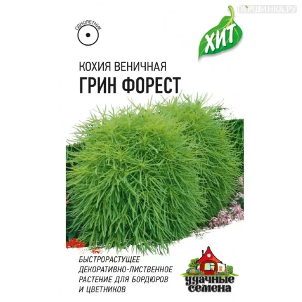 Кохия Грин Форест веничная ц/п 0,2 г, Семена Гавриш