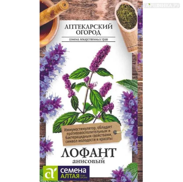 Лофант Анисовый цп 0,05 г, Семена Алтая