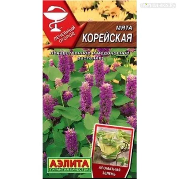 Мята корейская 0,05 г, Семена Аэлита