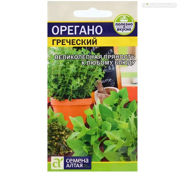 Душица (орегано) Греческий ц/п 0,5 г, Семена Алтая