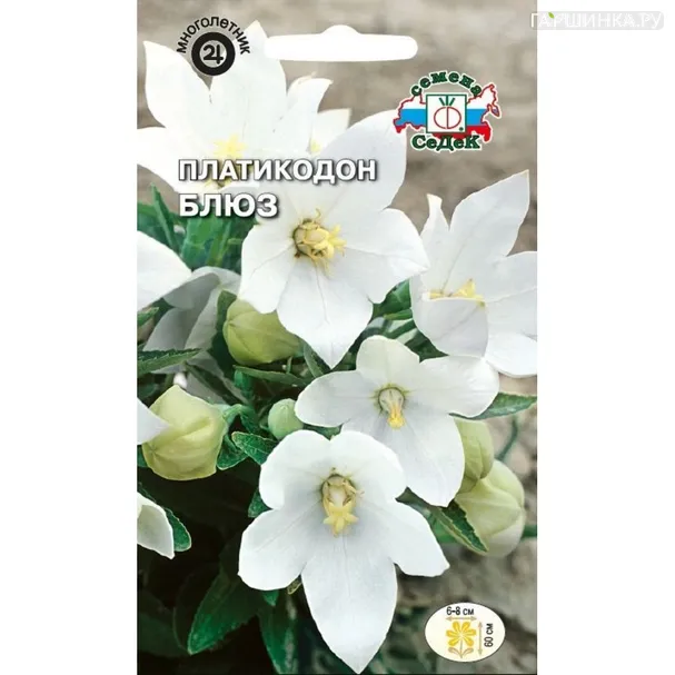 Платикодон Блюз ц/п 0,1 г, Семена Седек