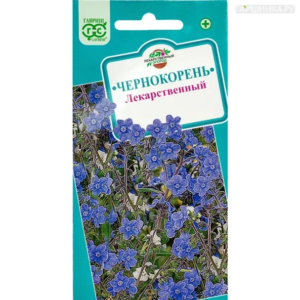 Чернокорень лекарственный 5 шт, Семена Гавриш