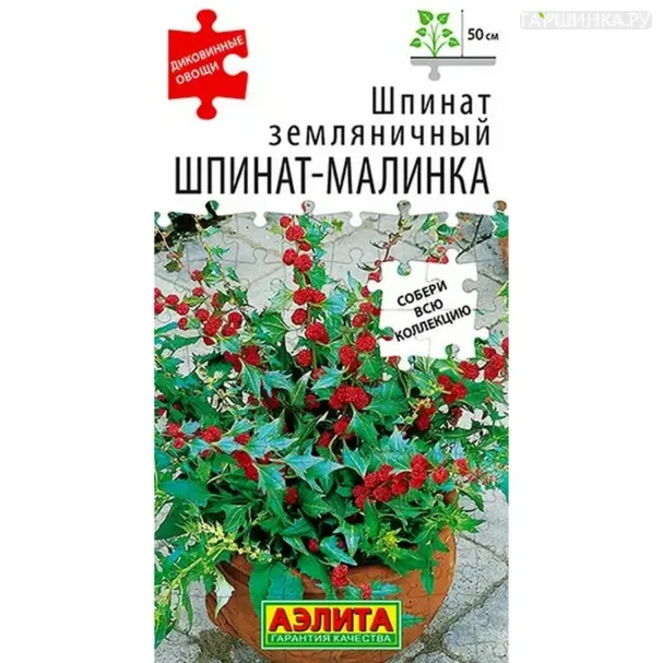 Шпинат Шпинат-малинка земляничный ц/п 0,05 г, Семена Аэлита