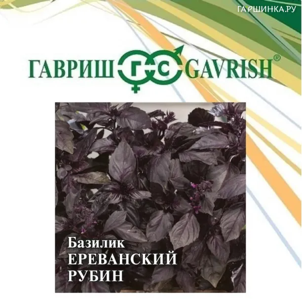 Базилик Ереванский Рубин ц/п 0,1-0,3 г, Семена Гавриш