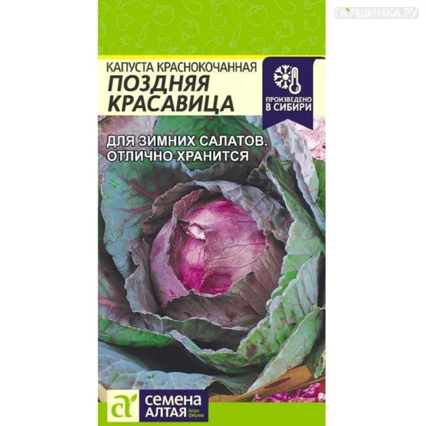 Краснокочанная капуста  Поздняя Красавица ц/п 0,3 г, Семена Алтая