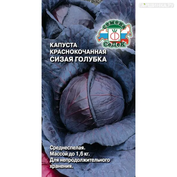 Краснокочанная капуста Сизая Голубка ц/п 0,5 г, Семена Седек
