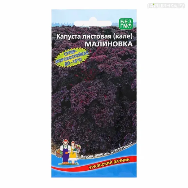 Листовая капуста Малиновка ц/п Уральский дачник 0,1 г, Семена Марс
