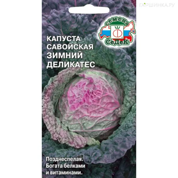 Савойская капуста Зимний Деликатес ц/п, Семена Седек