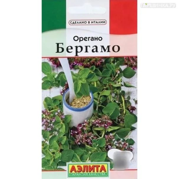 Душица (орегано) Бергамо ц/п, Семена Аэлита