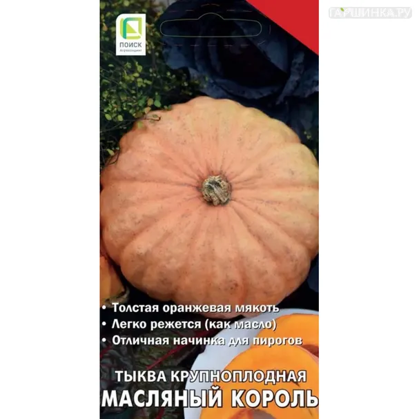 Тыква Масляный король крупноплодная ц/п 10 шт, Семена Поиск