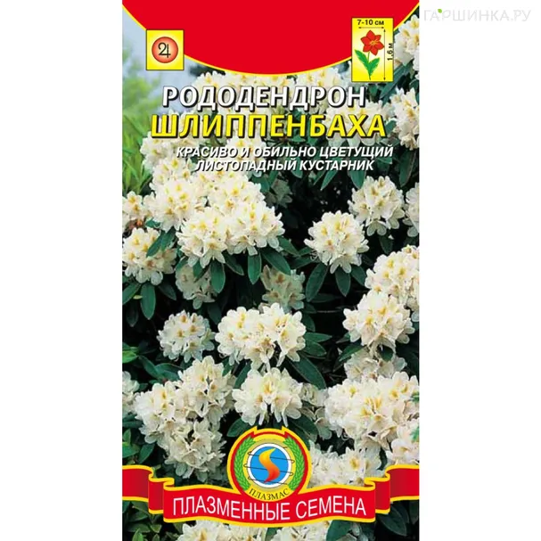 Рододендрон Шлиппенбаха 0,005 г, Плазменные семена