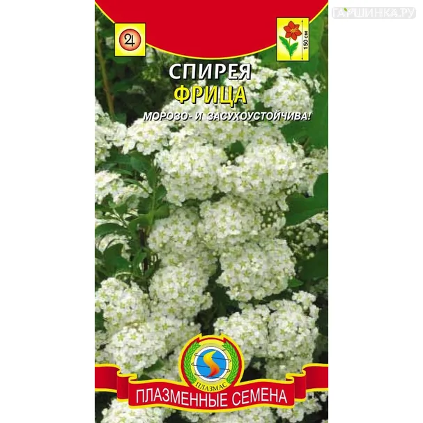 Спирея Фрица 0,03 г, Плазменные семена