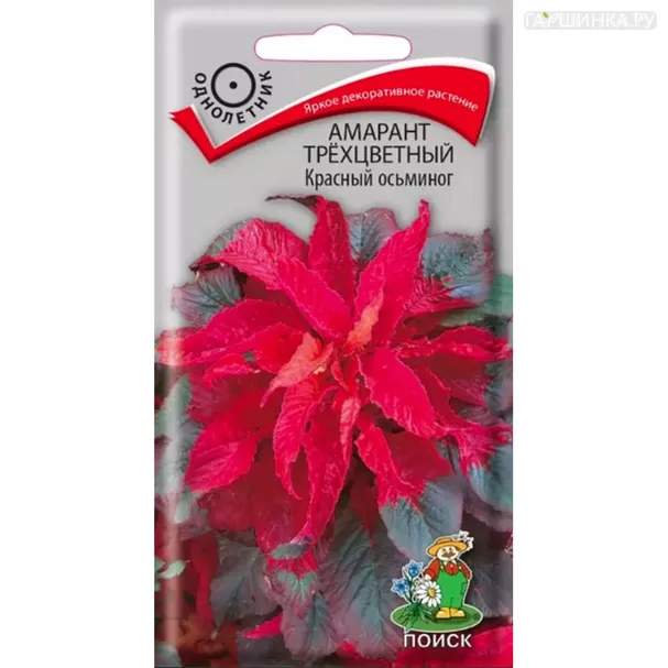 Амарант Красный осьминог трехцветный  0,1 г, Семена Поиск