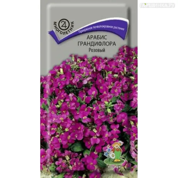 Арабис Розовый грандифлора ц/п 0,1 г, Семена Поиск
