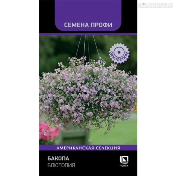 Бакопа Блютопия 5 шт, Семена Поиск