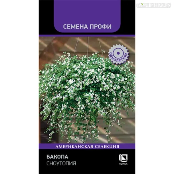Бакопа Сноутопия 5 шт, Семена Поиск