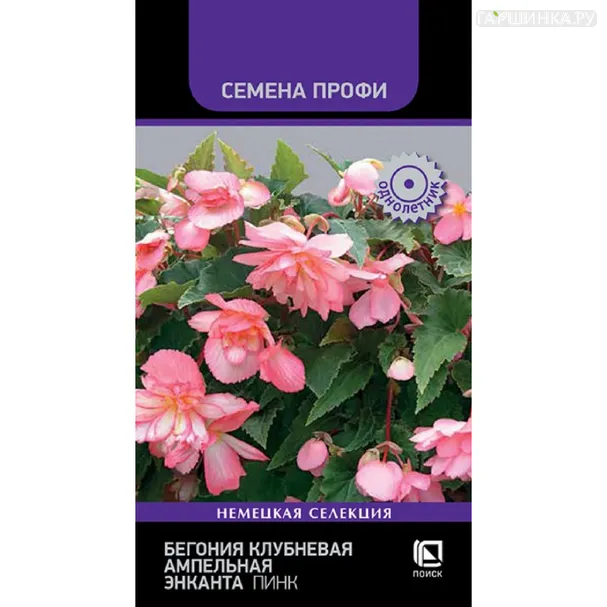 Бегония клубневая ампельная Энканта Пинк 7 шт, Семена Поиск