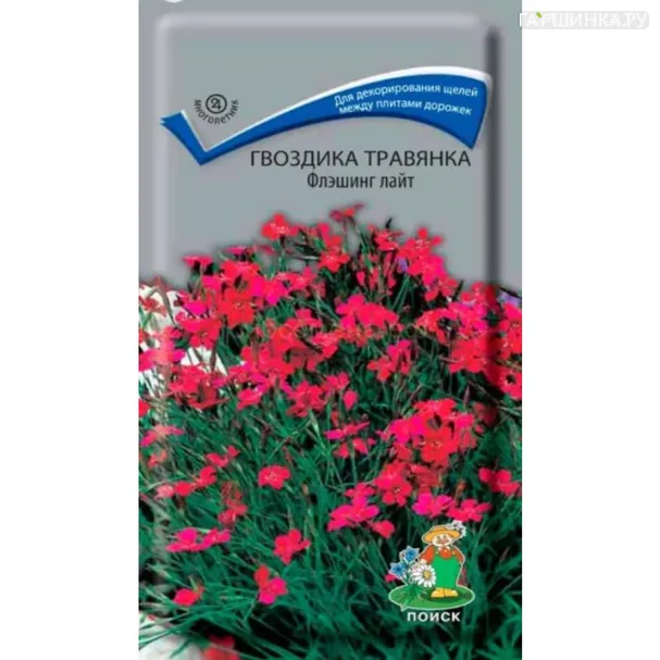Гвоздика травянка Флэшинг Лайт 0,1 г, Семена Поиск