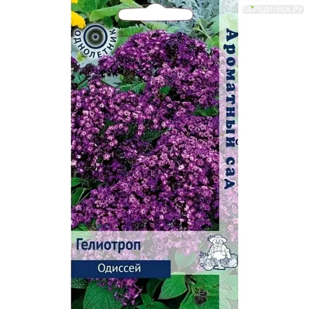 Гелиотроп Одиссей 0,03 г, Семена Поиск