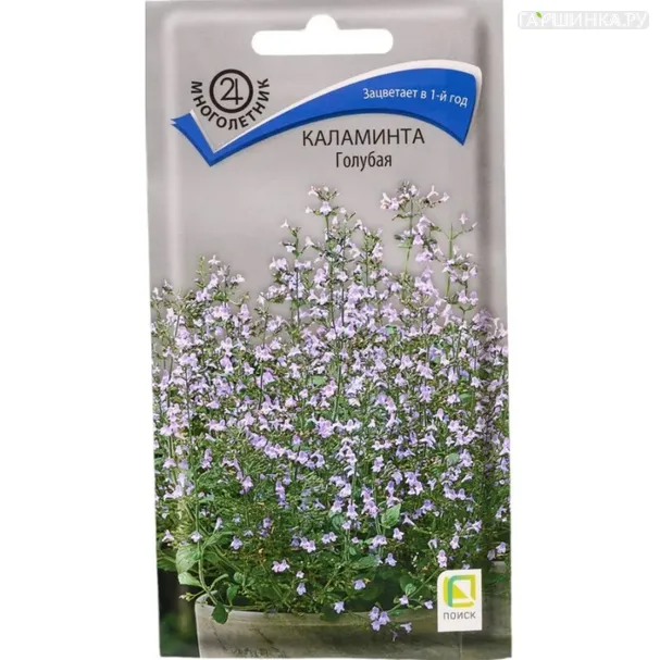 Каламинта Голубая 0,05 г, Семена Поиск