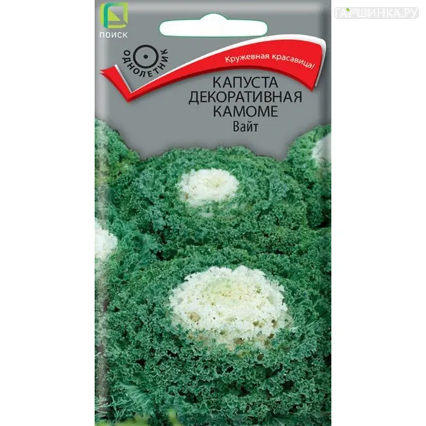 Капуста декоративная Камоме Вайт 10 шт, Семена Поиск
