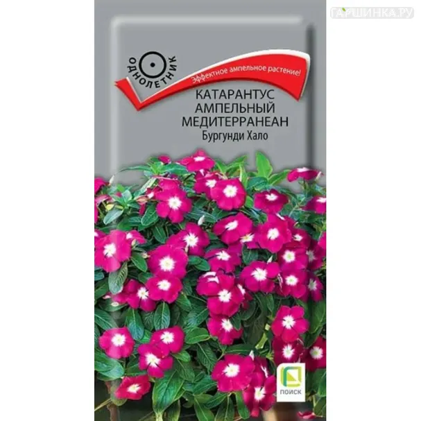 Катарантус ампельный Медитерранеан Бургунди Хало 10 шт, Семена Поиск