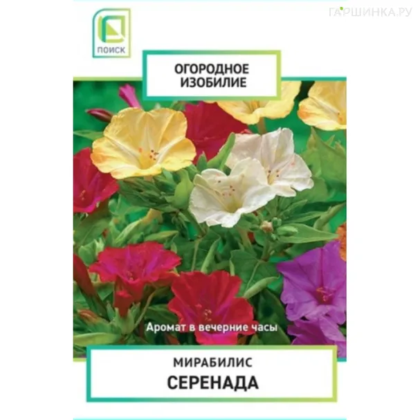Мирабилис Серенада 1 г, Семена Поиск
