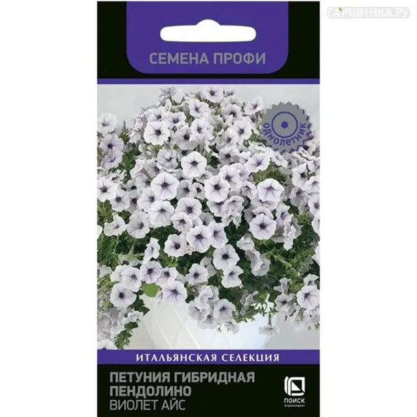 Петуния Пендолино Виолет Айс гибридная 5 шт, Семена Поиск
