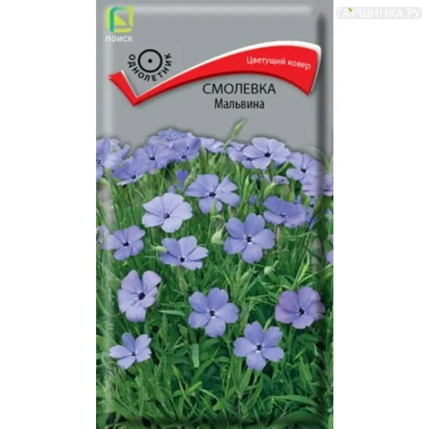 Смолевка Мальвина 0,05 г, Семена Поиск
