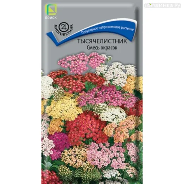 Тысячелистник Смесь окрасок 0,1 г, Семена Поиск