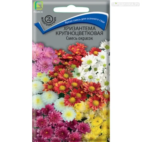 Хризантема Смесь окрасок крупноцветковая 0,05 г, Семена Поиск