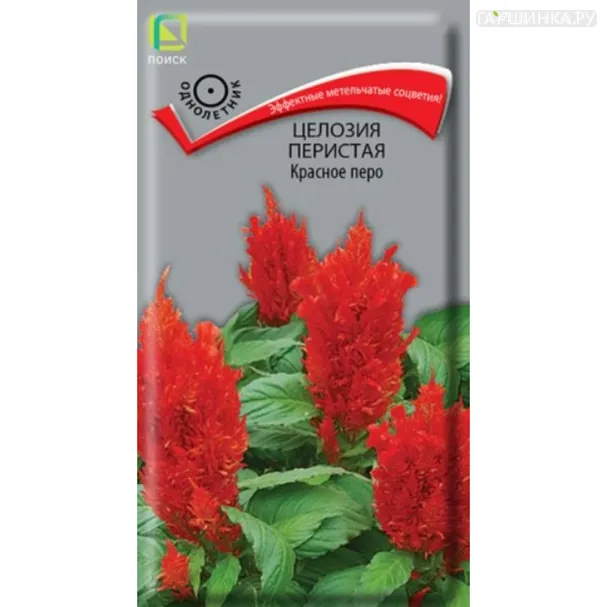 Целозия Красное перо перистая 0,1 г, Семена Поиск