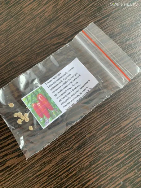 Томат Ниагара 10 сем, Частная коллекция семян