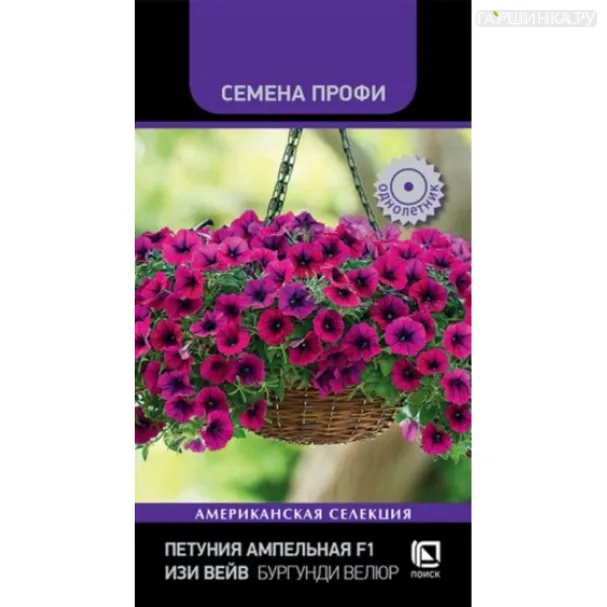 Петуния Изи Вэйв Бургунди Велюр ампельная 5 шт, Семена Поиск