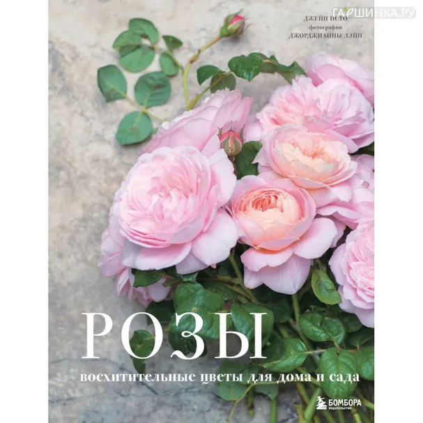 Книга Исто Джейн. Розы.