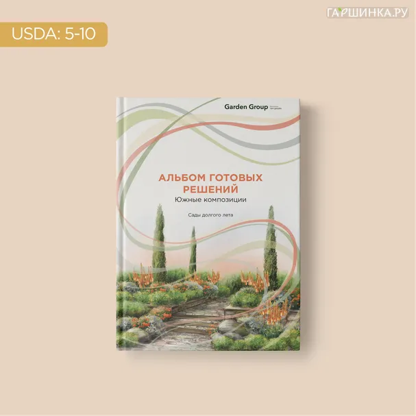 Альбом готовых решений. Южные композиции. Сады долгого лета