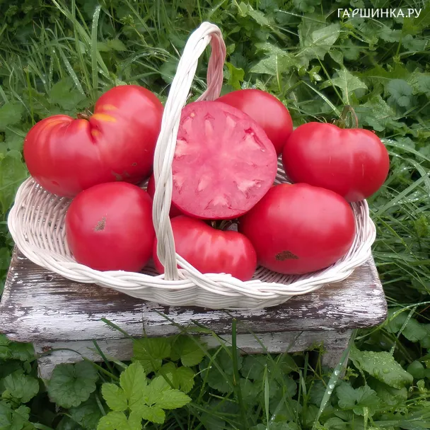Томат Косово 10 шт, Частная коллекция семян