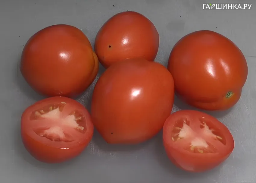 Томат Кибиц 10 шт, Частная коллекция семян