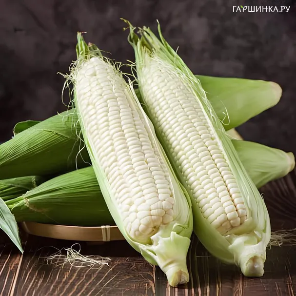 Кукуруза Белая крупная 10 шт, Частная коллекция семян
