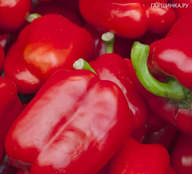 Перец сладкий Бараборка 10 шт, Частная коллекция семян