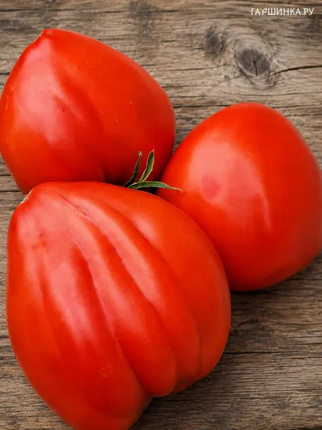 Томат Большая красная кукла 10 шт, Частная коллекция семян