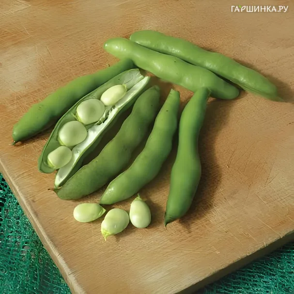 Фасоль Сладкая лопатка 6 шт, Частная коллекция семян