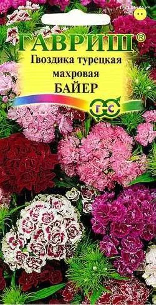 Гвоздика турецкая махровая Байер, смесь 0,2г