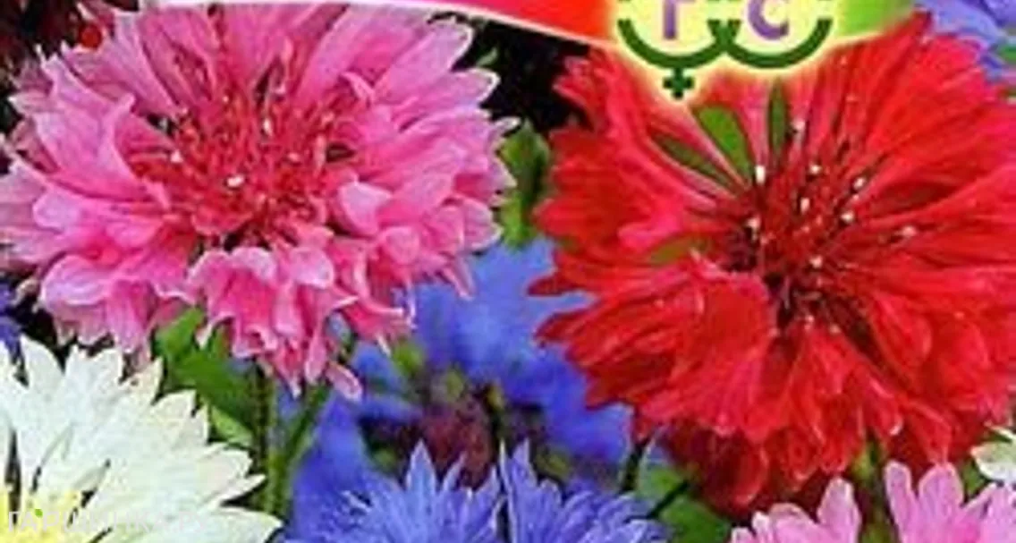 Василек Букетная смесь 0,2 г