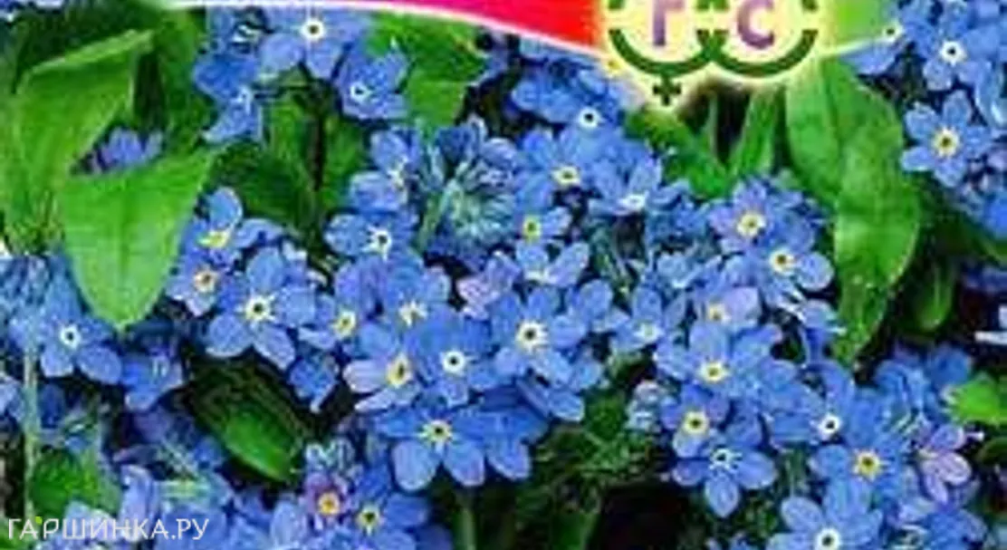 Незабудка Синяя корзинка 0,1г