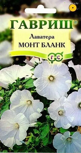 Лаватера Монт Бланк 0,5 г