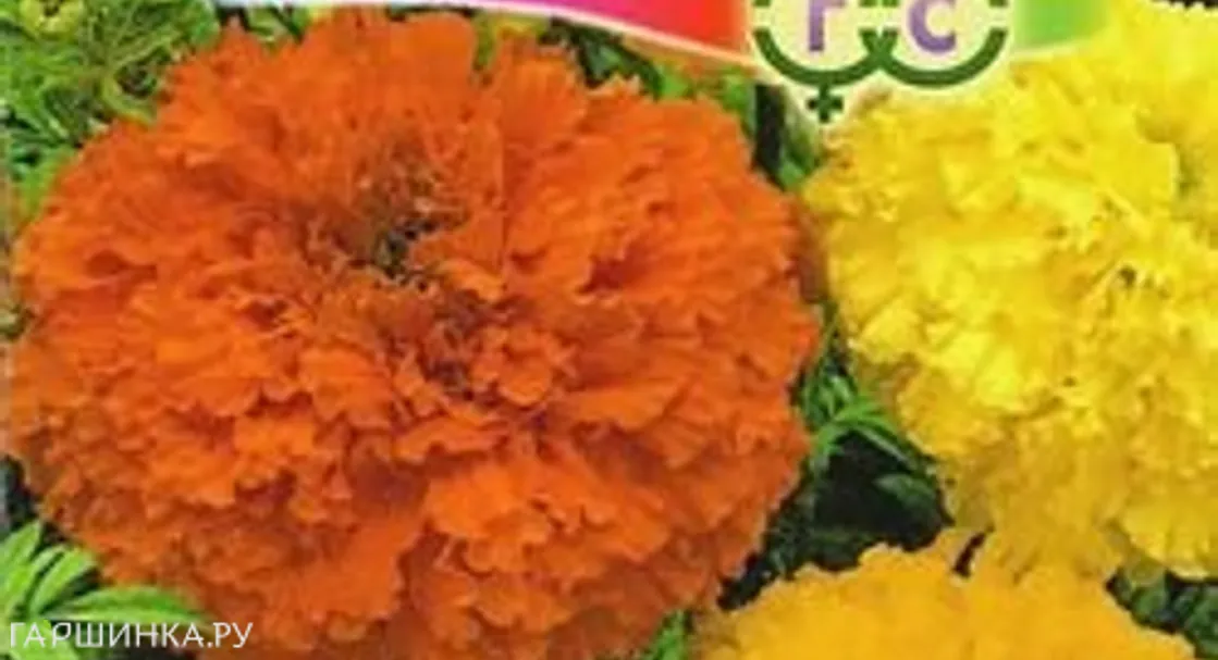 Бархатцы пр. Крекерджек (Тагетис) 0,3 г