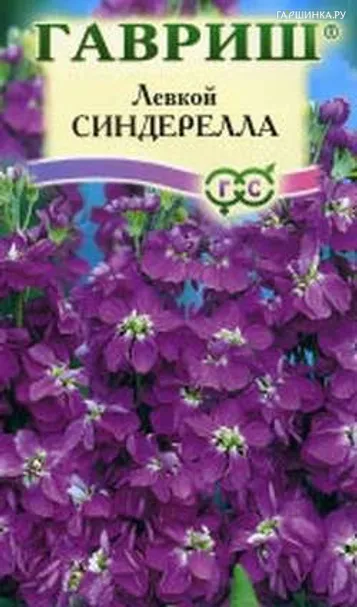 Левкой Синдерелла* F1 10шт.